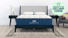 Bear elite hybrid for sale  Lake Worth