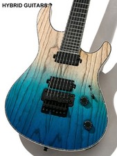 Mayones regius pro d'occasion  Expédié en Belgium