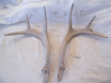 Deer decoy replacement for sale  Superior