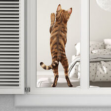 Fensterbild stehende katze gebraucht kaufen  Elmenhorst