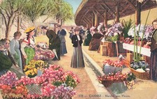 Cannes marche fleurs d'occasion  France