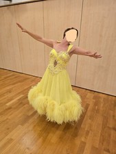 Standardkleid turnier kleid gebraucht kaufen  Calberlah