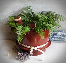 Alter großer fentopf gebraucht kaufen  Lehrensteinsfeld