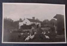 Postcard social history for sale  POTTERS BAR