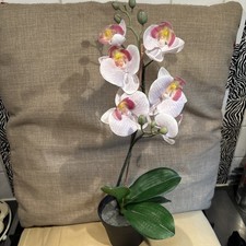 Ikea orchid pot for sale  BOREHAMWOOD
