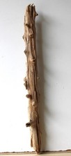 Treibholz schwemmholz driftwoo gebraucht kaufen  Halblech