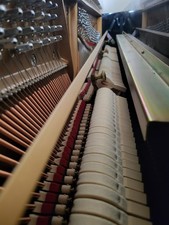 Pianoforte verticale come usato  Palma Campania