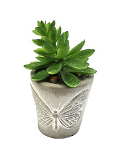 Artificial succulent plant for sale  Rockville