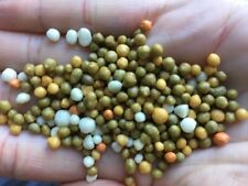 1kg osmocote pro for sale  EGREMONT