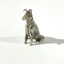 Miniatura cane collie usato  Roncello