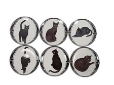 cat plates for sale  RUGBY