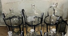 Gallon carboy brew for sale  Feasterville Trevose