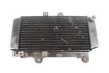 Heizkörper Wasser- für moto YAMAHA 660 XTZ 1992 bis 1998 comprar usado  Enviando para Brazil