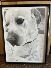 Labrador drawing framed for sale  Pahoa