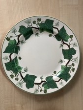 napoleon ivy for sale napoleon ivy for sale TAUNTON