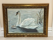 Mute swan gordon for sale  ASCOT