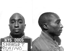 1993 tupac shakur for sale  USA