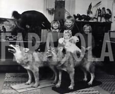 Vintage animali finlandia usato  Roma