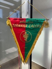 Gagliardetto originale ternana usato  San Donato Milanese