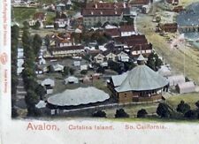 1905 avalon catalina d'occasion  Aix-les-Bains