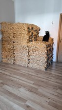 Anzündholz anfeuerholz anmach gebraucht kaufen  Bad Salzdetfurth