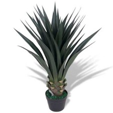 Vidaxl yucca pianta usato  Battipaglia