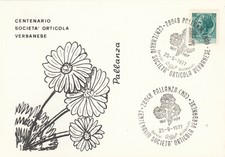 As1282 annullo speciale usato  Napoli