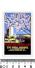 Calamita salone macchine usato  Italia