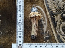 Charivari anhänger fassung gebraucht kaufen  Berglern