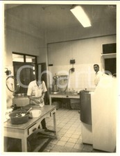 1960 area pavia usato  Milano