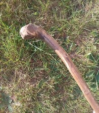 Vintage ash root for sale  WORKSOP
