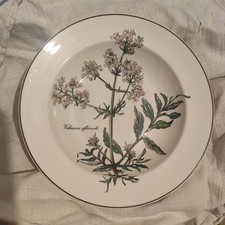 Villeroy boch botanica gebraucht kaufen  Türkenfeld