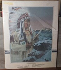 Native american indian for sale  Mansfield