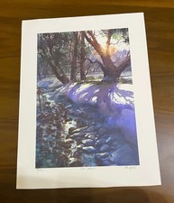 Chicago artist tom for sale  Appleton