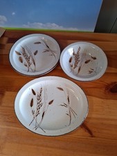 Midwinter stonehenge wild gebraucht kaufen  Wolfsburg