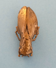 Broche métallique insecte d'occasion  Tigy