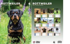 Rottweiler 2026 calendar for sale  CRAWLEY