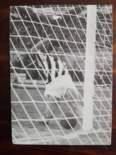 Calcio catania juventus usato  Vaiano Cremasco