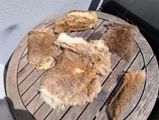 Lot peaux lapin d'occasion  Lorient