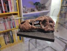 Teschio dinosauro rex usato  Vicenza