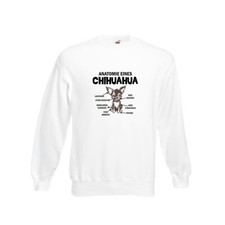 Anatomie eines chihuahua gebraucht kaufen  Deutschland