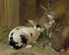 Pintura a óleo animais lindos e fofos três coelhos comendo grama lona feita à mão comprar usado  Enviando para Brazil