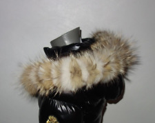 Real fur kojoten gebraucht kaufen  Bad Soden-Salmünster