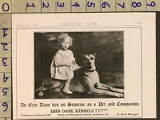 1928 dog erin for sale  Branch