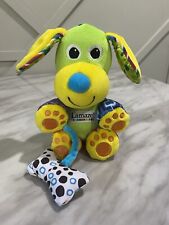 "Lamaze Peluche Verde Perro Bebé Juguete Sonajeros Arrugado Sensorial Chirriante 8"" 2006" segunda mano  Embacar hacia Argentina