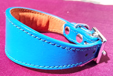 Blue leather whippet for sale  KNIGHTON