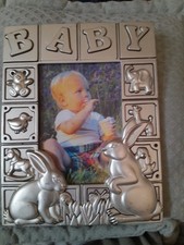 baby polish bunny for sale baby polish bunny for sale Winona