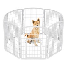Iris usa dog for sale  Anaheim