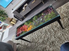 Coffee table moss for sale  ROMFORD