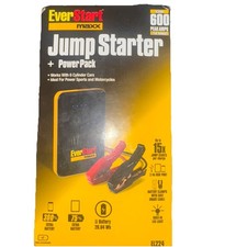 Everstart battery pack for sale  Glendale